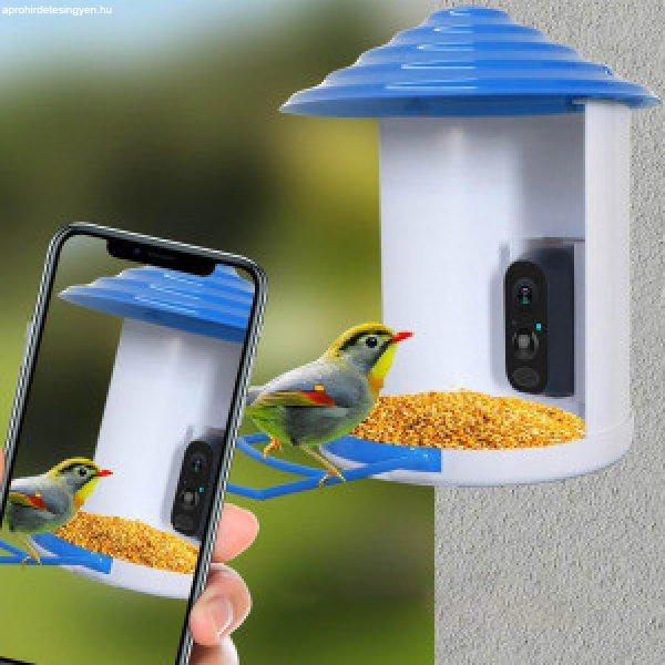 Birdy napelemes madáretető kamerával